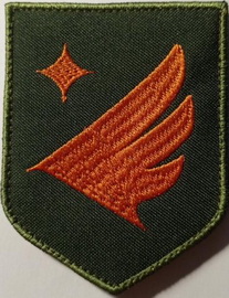 411 оббс_1р Яструби.jpg