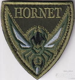 hornet_ шершень.jpg