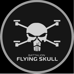 flyingskull.png