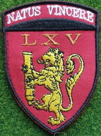 65.jpg