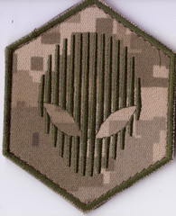 421 2+.jpg