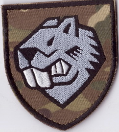 808 опомп_5+.jpg