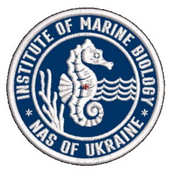 ІМВ.jpg