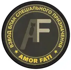 3029 amor-fati.png
