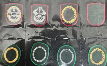 10 кокарда.jpg