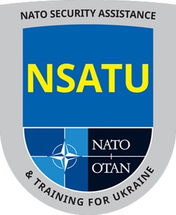 nsatu.jpg