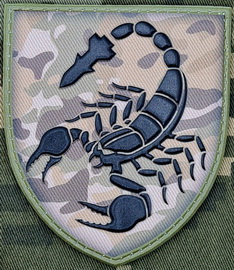 19.jpg