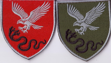 19 ЦСП+.jpg
