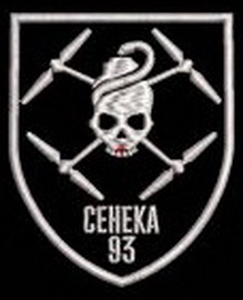 93.jpg