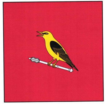 Flag and coat of arms of Hijdieni village, Glodeni District and Gangura village, Ialoveni District.-4зм.jpg