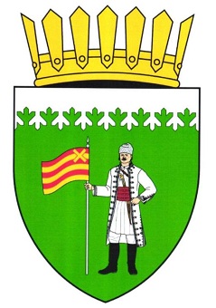 Flag and coat of arms of Hijdieni village, Glodeni District and Gangura village, Ialoveni District.-27.05.26-1зм.jpg