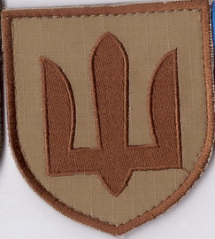 т1+.jpg