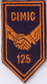 125_цвс+.jpg
