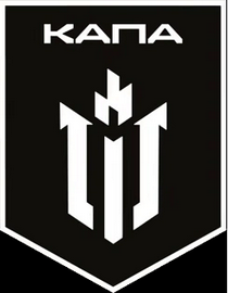 3102_нб Капа.png
