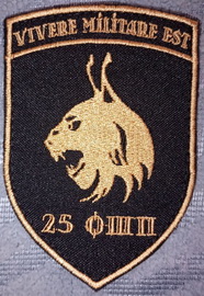25.jpg