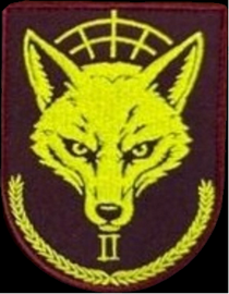 МІЛ_Foxhound-ІІ.png
