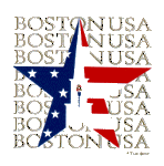 2008_Boston.gif