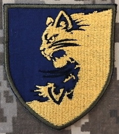55.jpg