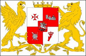№ 307 Гіві, Манучар і Леван ЦИТЕЛАШВІЛІ (Донецьк)